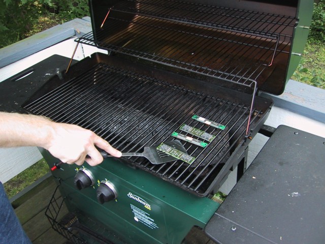 grillin silicon
