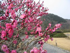 IMG_0190.JPG