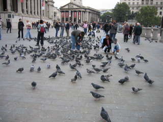 IMG_0825.JPG